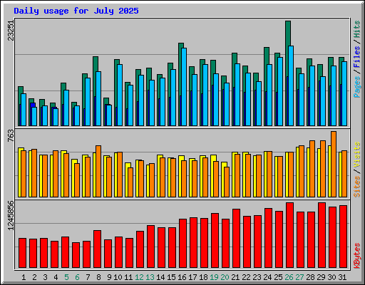 Daily usage for July 2025