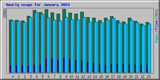 Hourly usage for January 2024