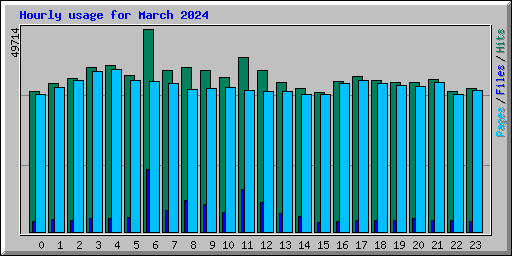Hourly usage for March 2024