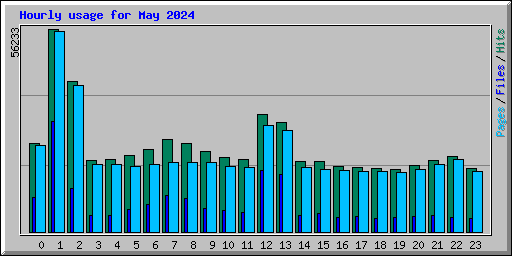 Hourly usage for May 2024