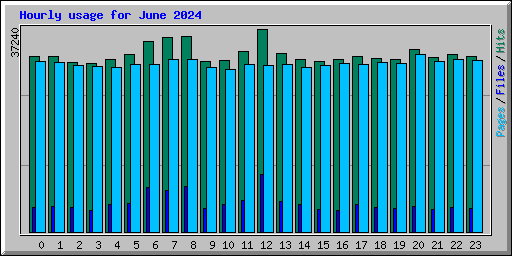 Hourly usage for June 2024