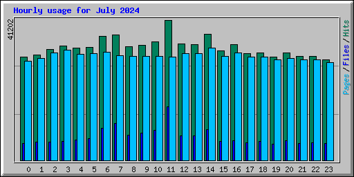 Hourly usage for July 2024