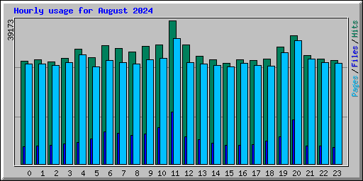 Hourly usage for August 2024