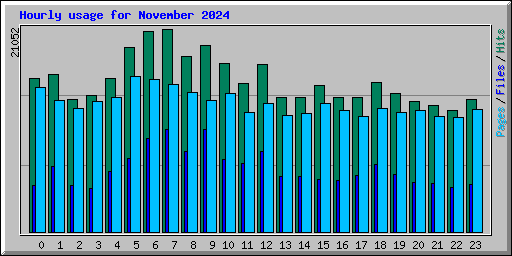 Hourly usage for November 2024