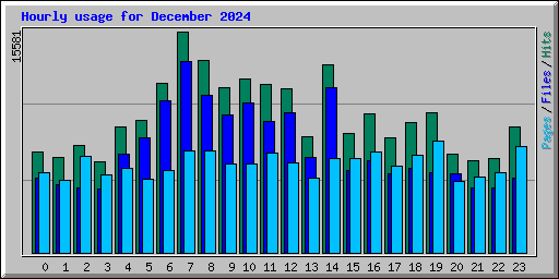 Hourly usage for December 2024