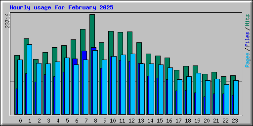 Hourly usage for February 2025