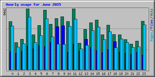 Hourly usage for June 2025