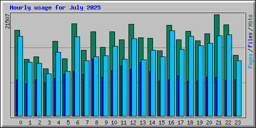 Hourly usage for July 2025