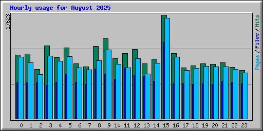 Hourly usage for August 2025