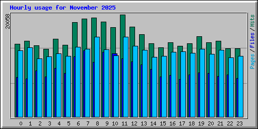 Hourly usage for November 2025