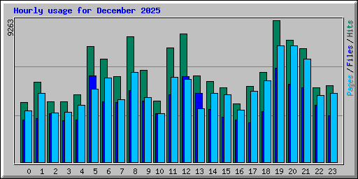 Hourly usage for December 2025