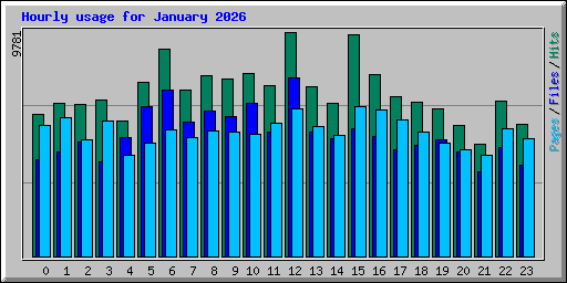 Hourly usage for January 2026